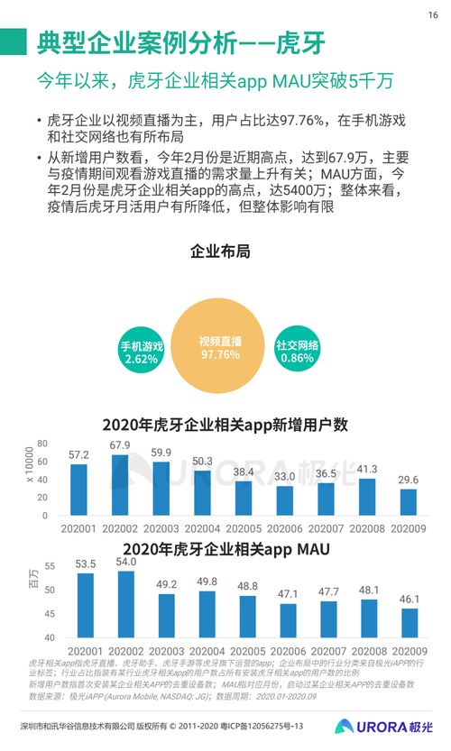 極光大數(shù)據(jù)2020年Q3移動(dòng)互聯(lián)網(wǎng)行業(yè)研發(fā)與維護(hù)洞察
